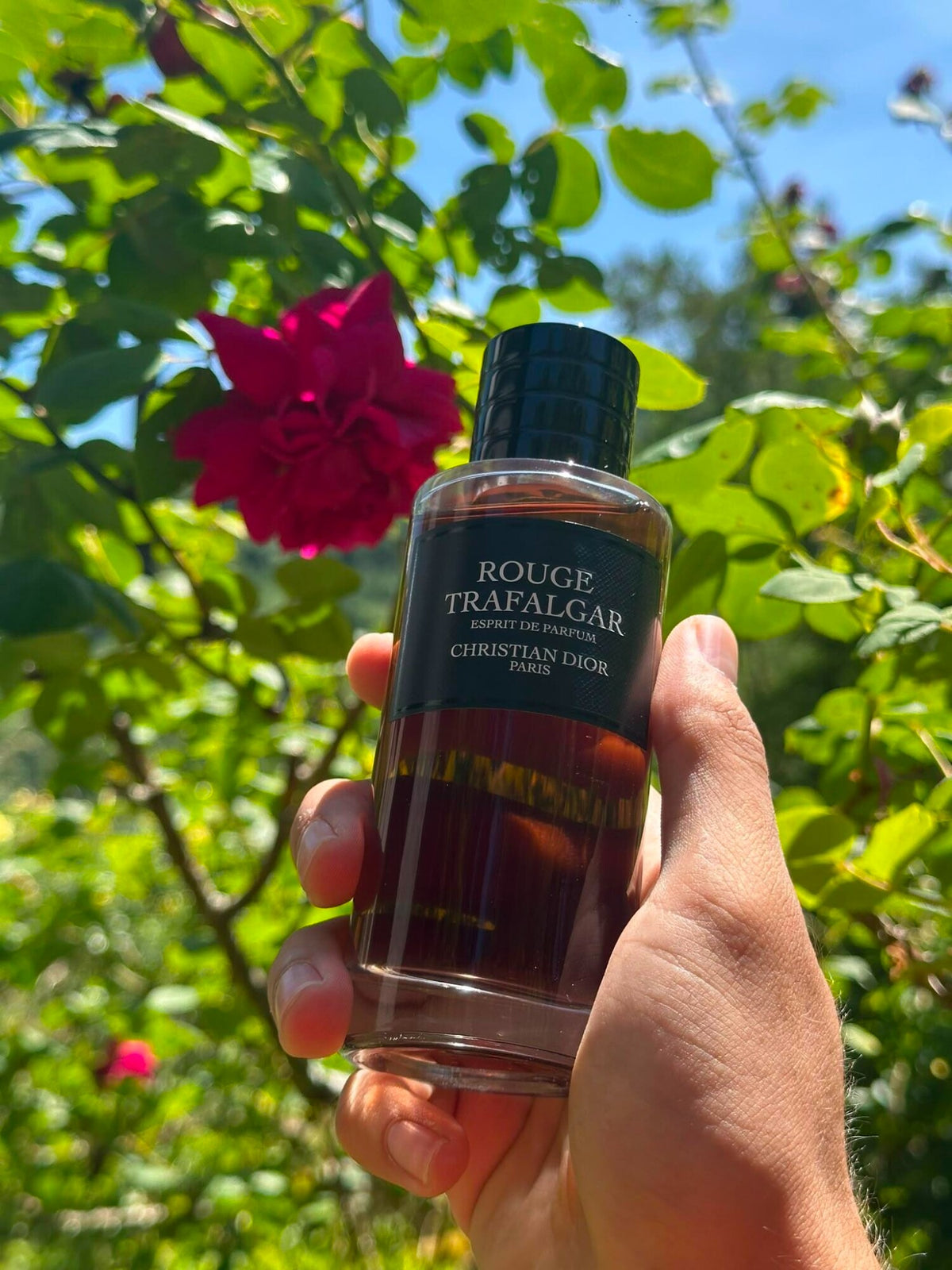 Dior Rouge Trafalgar Esprit de Parfum